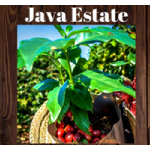 Sheldrake Coffee Roasting, Java Estate Whole Bean Coffee, 1 lb bag Sheldrake Coffee Roasting, Java Estate Whole Bean Coffee, 1 lb bag