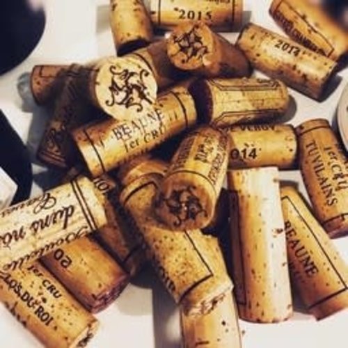 Azimut N.V. Cava Brut Nature, Penedes Spain Azimut N.V. Cava Brut Nature, Penedes Spain