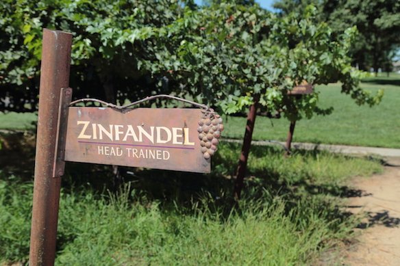 All About Zinfandel: America's Heritage Grape