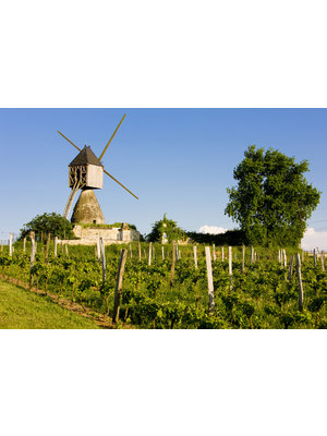 TASTING--Why We Love France's Loire Valley  Friday April 28 Reservation