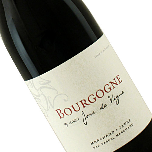 Marchand-Tawse 2024 Bourgogne Rouge Joie de Vigne, Burgundy, France
