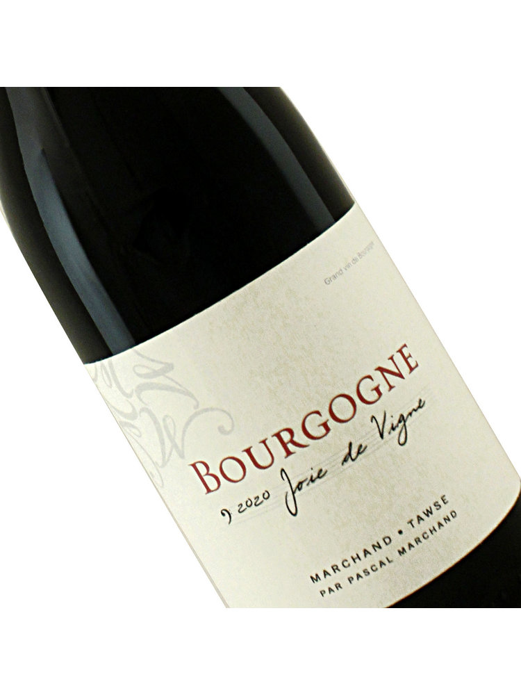 Marchand-Tawse 2024 Bourgogne Rouge Joie de Vigne, Burgundy, France