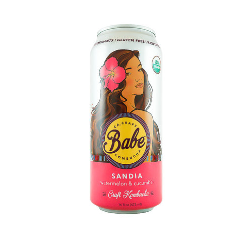 Babe Ca, Craft Kombucha "Sandia" Watermelon & Cucumber 16oz can -San Diego, CA Babe Ca, Craft Kombucha "Sandia" Watermelon & Cucumber 16oz can -San Diego, CA