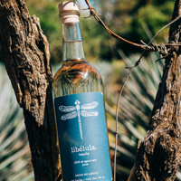 MAY'S SPIRIT OF THE MONTH- LIBELULA JOVEN TEQUILA