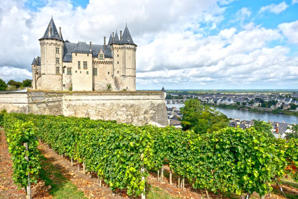 Turning the Spotlight on the Red Wines of the Loire