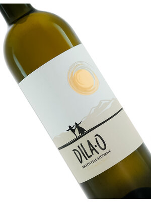 Dila-O 2021 Rkatsiteli-Mtsvane Dry Amber Wine, Georgia