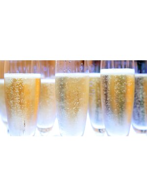TASTING--THURSDAY DECEMBER 28  7:30 P.M.  SAMANTHA DUGAN'S BEST CHAMPAGNES OF THE YEAR!  $75  tax included