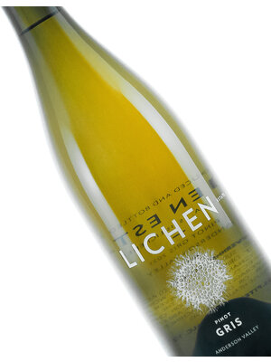 Lichen Estate 2021 Pinot Gris Anderson Valley