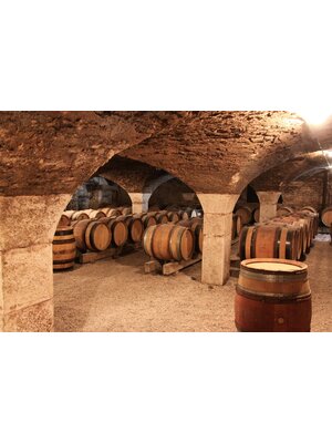 Tasting -- Red & White Burgundy Tasting Featuring  Aline Thiebaut on May 17th, 2024 7:30 PM