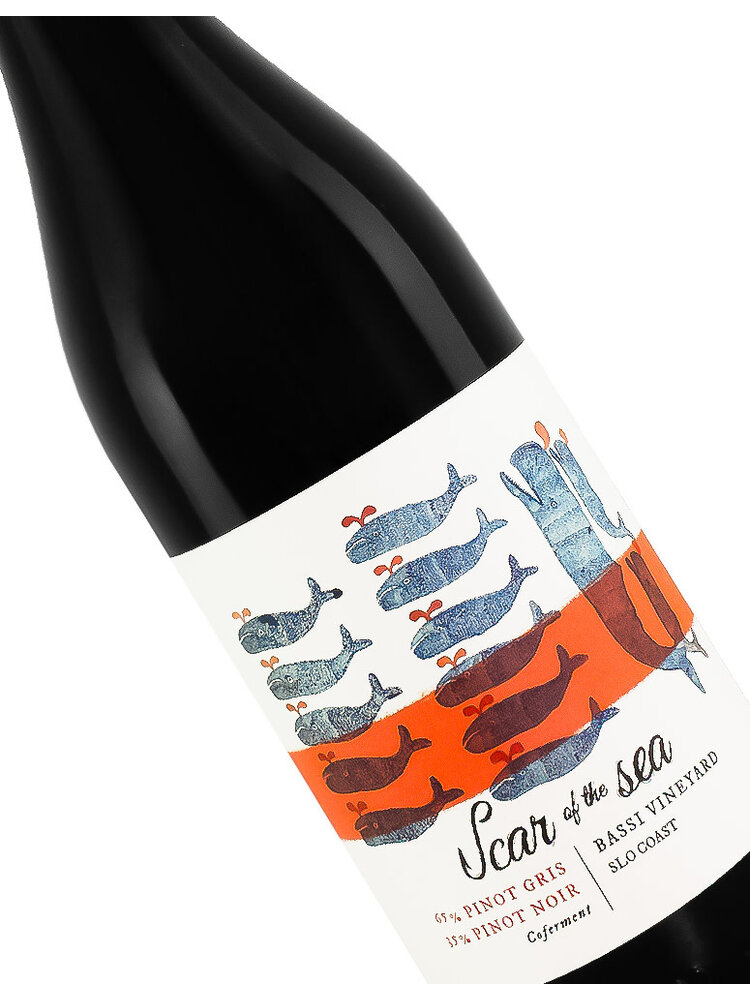 Scar Of The Sea "Coferment" 2023 Pinot Gris/Pinot Noir, Bassi Vineyard, SLO Coast