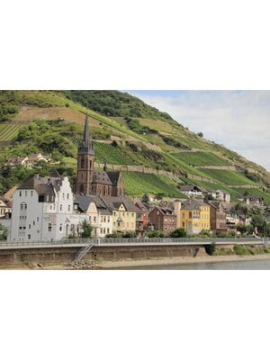 Tasting -- France's Rhone Valley Red Wines from North to South on June 21st, 2024 7:30 PM