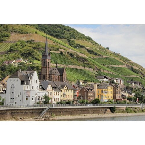 Tasting -- France's Rhone Valley Red Wines from North to South on June 21st, 2024 7:30 PM