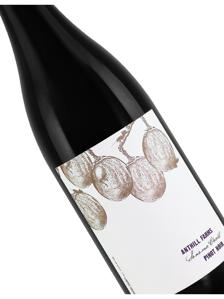 Anthill Farms 2022 Pinot Noir, Sonoma Coast