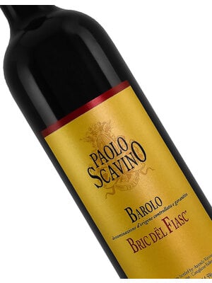 Paolo Scavino 2020 Barolo Bric Del Fiasc, Piedmont