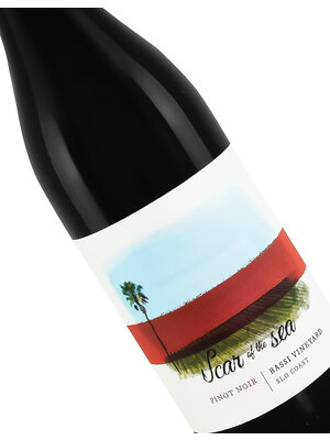Scar of the Sea 2023 Pinot Noir, Bassi Vineyard, SLO Coast