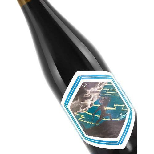 Third Window Brewing Co "Lightning Of Dioscorus XII" Quad Belgian-Style Ale 500ml bottle - Santa Barbara, CA Third Window Brewing Co "Lightning Of Dioscorus XII" Quad Belgian-Style Ale 500ml bottle - Santa Barbara, CA