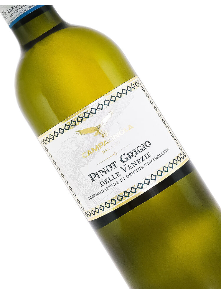 Campagnola 2025 Pinot Grigio, Delle Venezie Italy