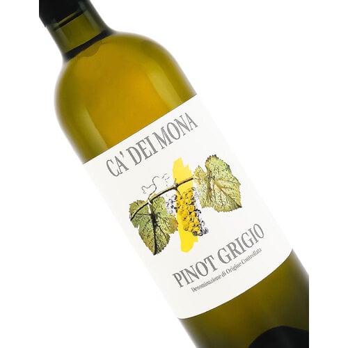 Ca' dei Mona 2023 Pinot Grigio, Venezia Italy Ca' dei Mona 2023 Pinot Grigio, Venezia Italy