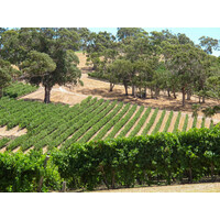 Tasting -- Australian Wine with Winebow Imports' Andii Ulrich on April 18th @7:30pm