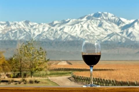 South American Red Wines: Bold Balanced & Exuberant