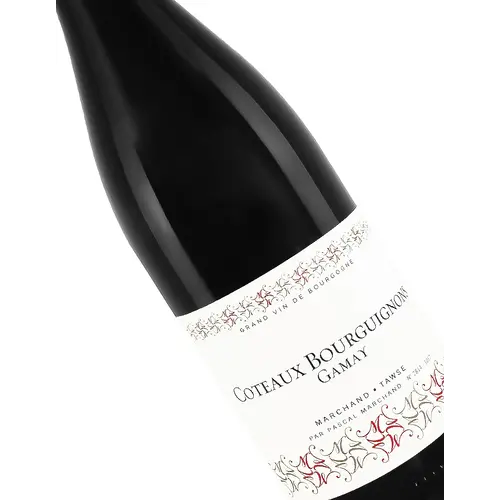 Marchand Tawse 2020 Coteaux Bourguignons Gamay Marchand Tawse 2020 Coteaux Bourguignons Gamay