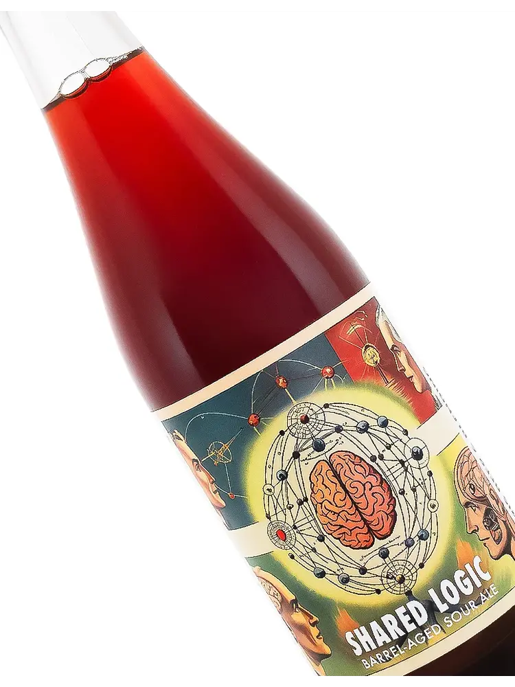 Solaris Beer "Shared Logic" Barrel-Aged Sour Ale 16.9oz Bottle - Murrieta, CA