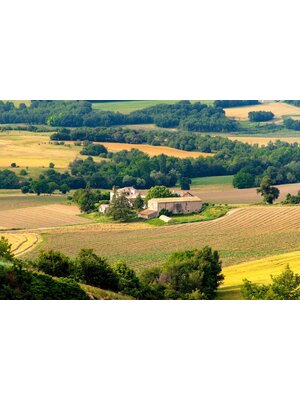 Tasting -- Chateauneuf-du-Papes and Domaine Tempier Bandol South of France Event on July 18th @ 7:30 pm