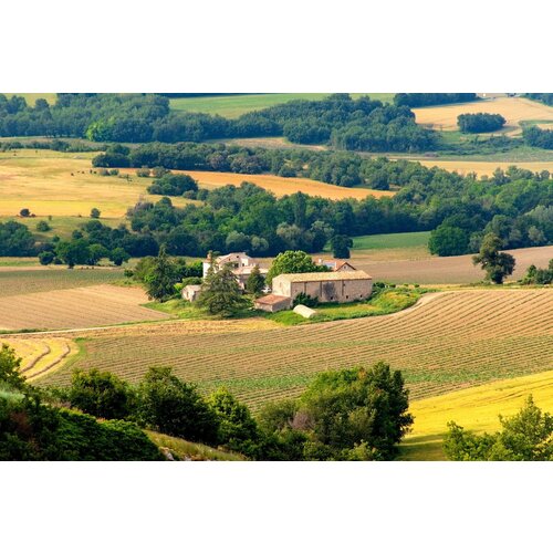 Tasting -- Chateauneuf-du-Papes and Domaine Tempier Bandol South of France Event on July 18th @ 7:30 pm