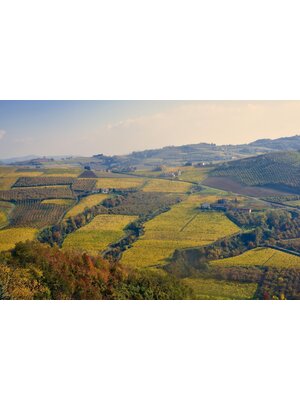 Tasting -- Spotlight on Italy's Piedmont on July 11th @ 7:30 pm