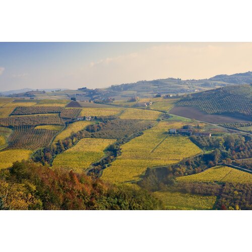 Tasting -- Spotlight on Italy's Piedmont on July 11th @ 7:30 pm
