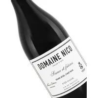 Domaine Nico 2022 Pinot Noir "Grand Mere" Mendoza, Argentina