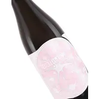 Jester King Brewery “Vague Recollection 2021” Black Spanish & Cabernet Sauvignon Farmhouse Ale 750ml bottle - Austin, TX