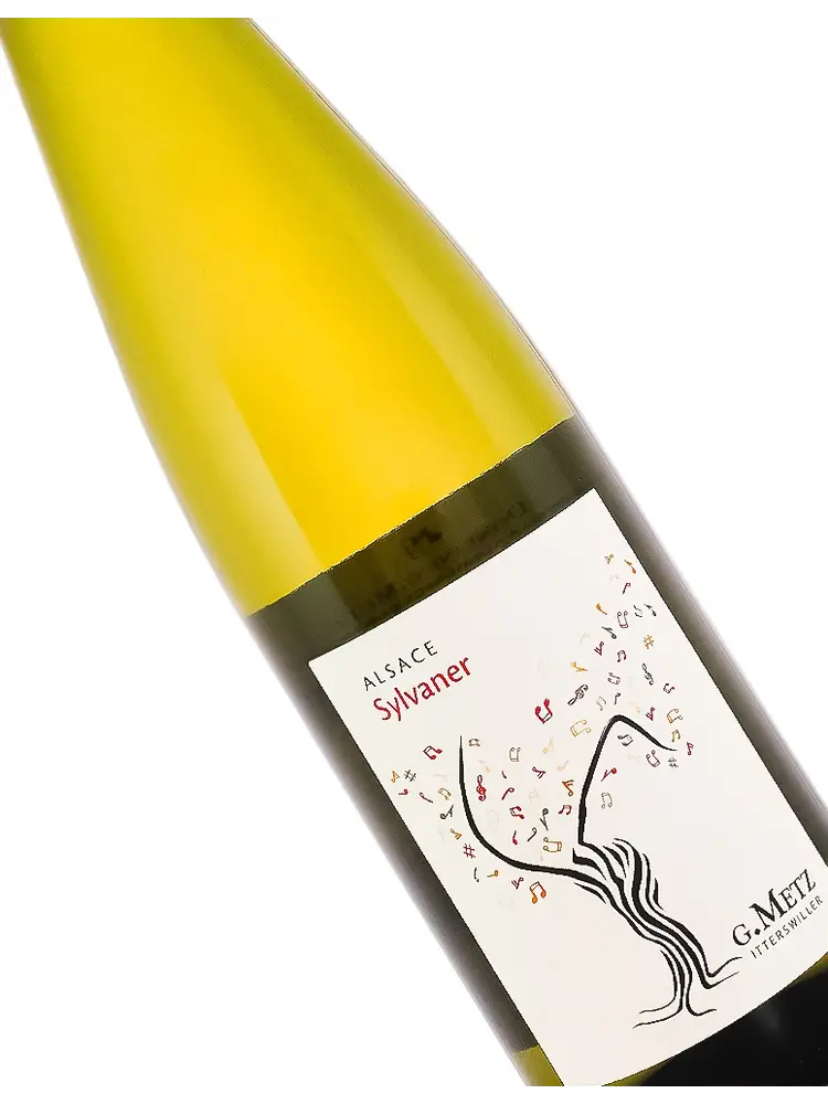 G. Metz 2023 Sylvaner, Alsace