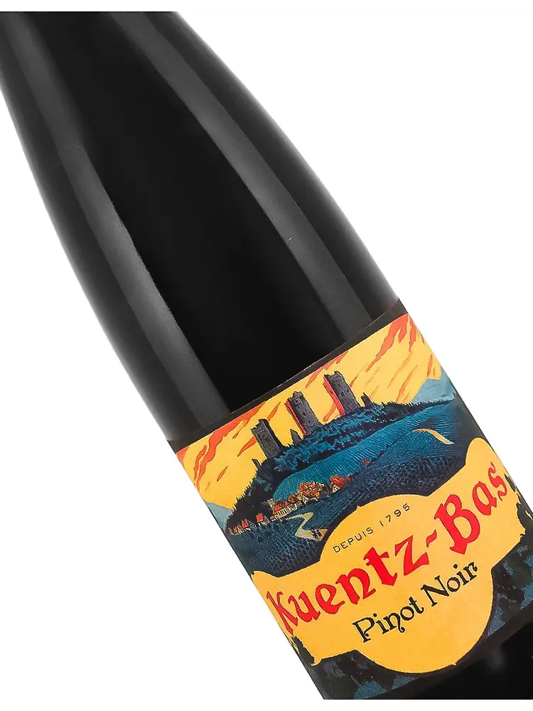Kuentz-Bas 2024 Pinot Noir, Alsace