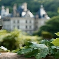 Red Burgundy & Beaujolais: Same Region, But Very Different Personalities