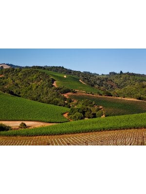 Tasting -- Best Cabernet Sauvignons of the Year with Michael Frank on October 24th @ 7:30pm