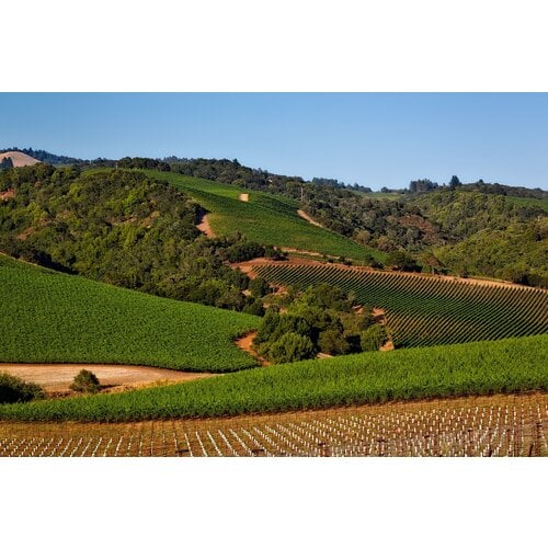 Tasting -- Best Cabernet Sauvignons of the Year with Michael Frank on October 24th @ 7:30pm