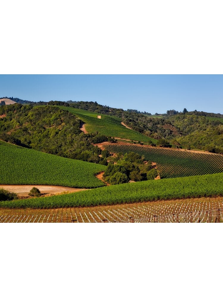 Tasting -- Best Cabernet Sauvignons of the Year with Michael Frank on October 24th @ 7:30pm