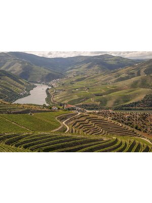Tasting -- Best Spanish & Portuguese Wines of the Year with Kevin Lepisto on October 17th @ 7:30pm