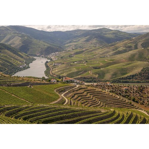 Tasting -- Best Spanish & Portuguese Wines of the Year with Kevin Lepisto on October 17th @ 7:30pm Tasting -- Best Spanish & Portuguese Wines of the Year with Kevin Lepisto on October 17th @ 7:30pm