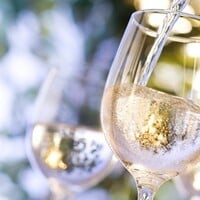 White Burgundy Revelations
