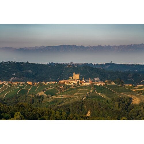 Tasting -- The King and Queen of Italy - Annual Barolo and Barbaresco Event on November 28th @ 7:30pm