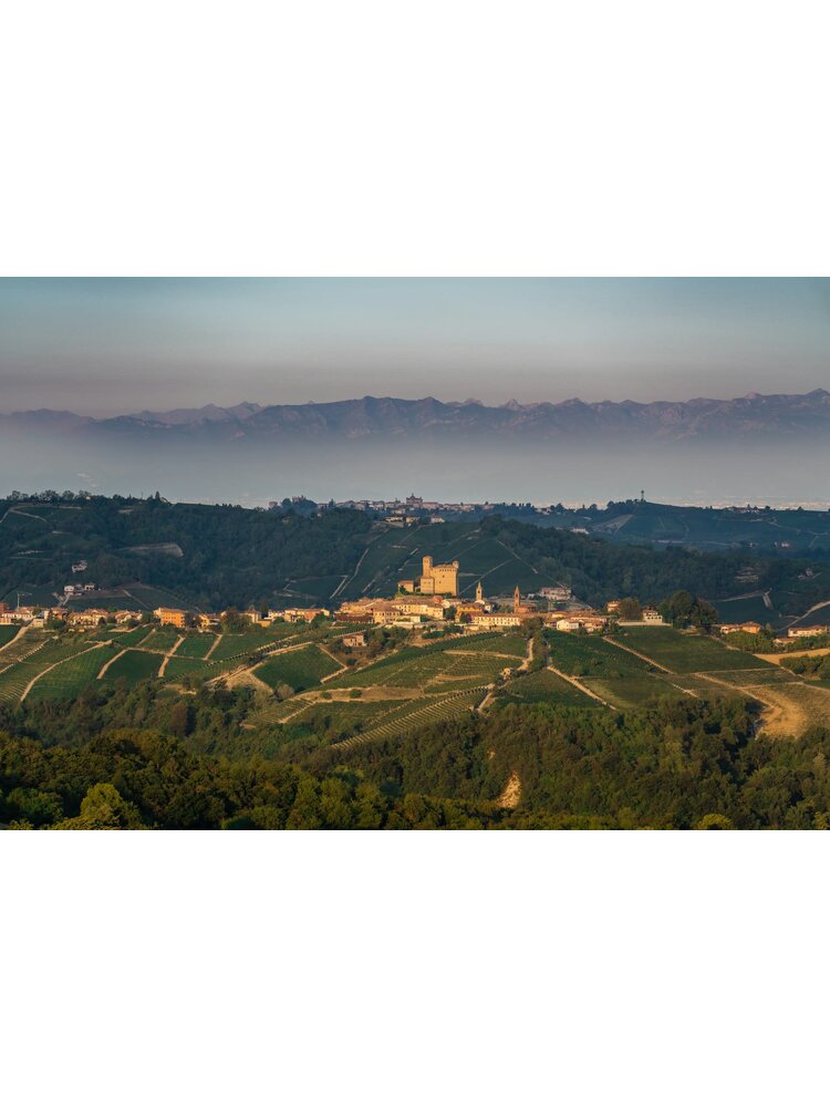 Tasting -- The King and Queen of Italy - Annual Barolo and Barbaresco Event on November 28th @ 7:30pm