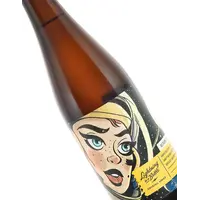 Bottle Logic Brewing "Return To Saturn" Hard Seltzer Aged In Gin Barrels 500ml - Anaheim, CA