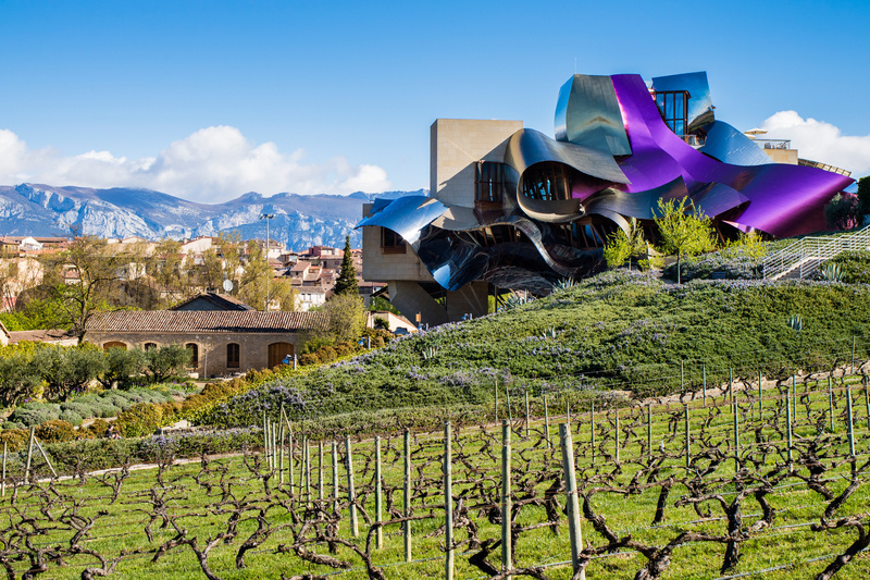 Rioja vineyard at El Ciego