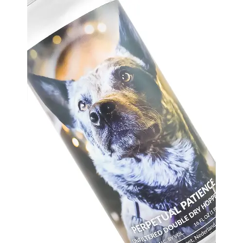 Knotted Root Brewing "Perpetual Patience" Unfiltered Double Dry Hopped IPA 16oz Can - Nederland, CO