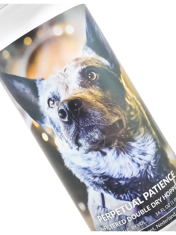 Knotted Root Brewing "Perpetual Patience" Unfiltered Double Dry Hopped IPA 16oz Can - Nederland, CO