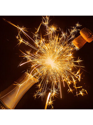 Tasting -- The Best Champagnes of the Year! on December 26th @ 7:30pm