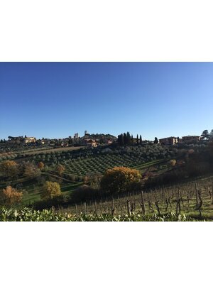 Tasting – Why We Love Italian Wines on January 16th @ 7:30pm