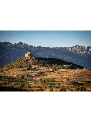 Tasting – All About Spanish Tempranillo on February 20th @ 7:30pm